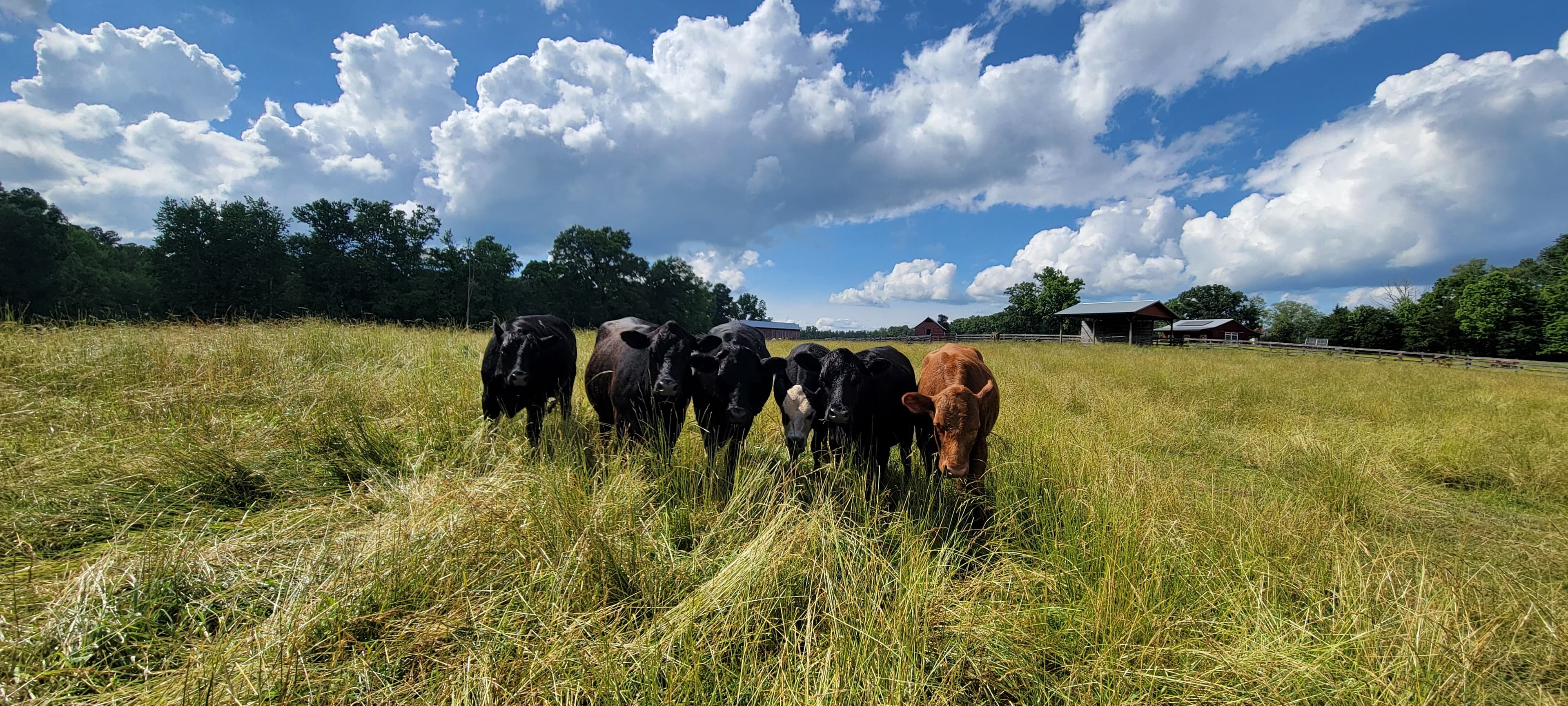 Rubicon Farm & Ranch
