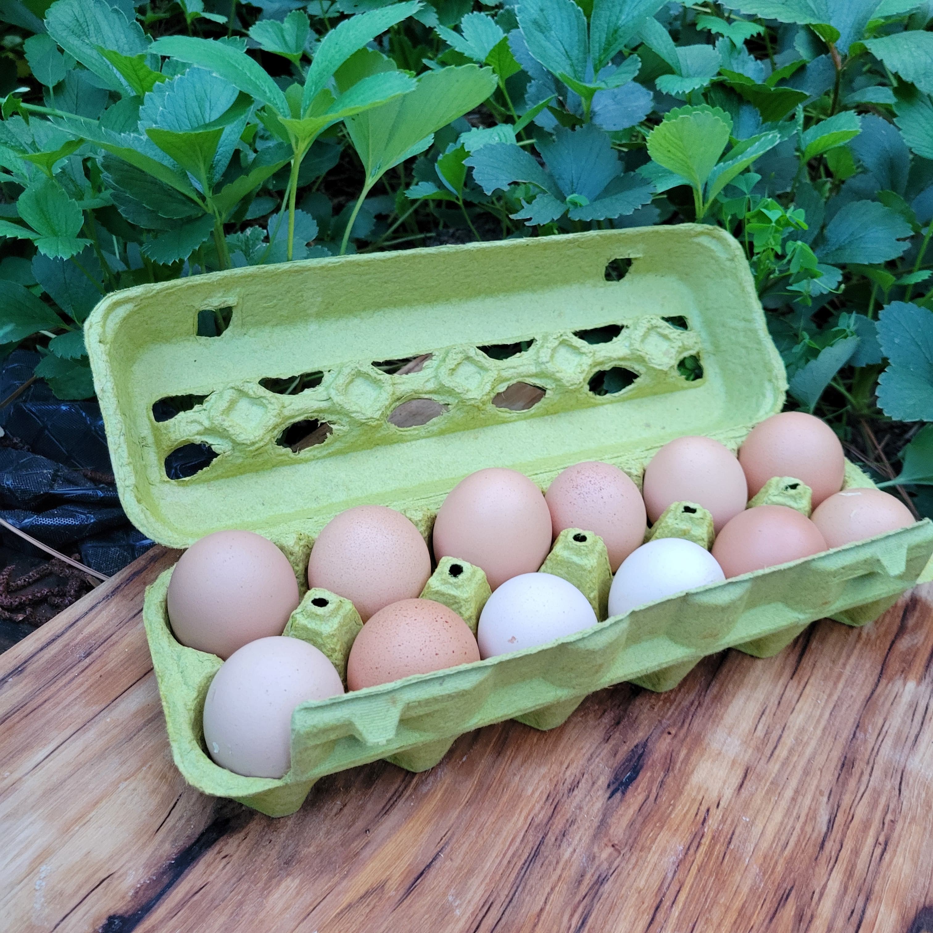 Eggs