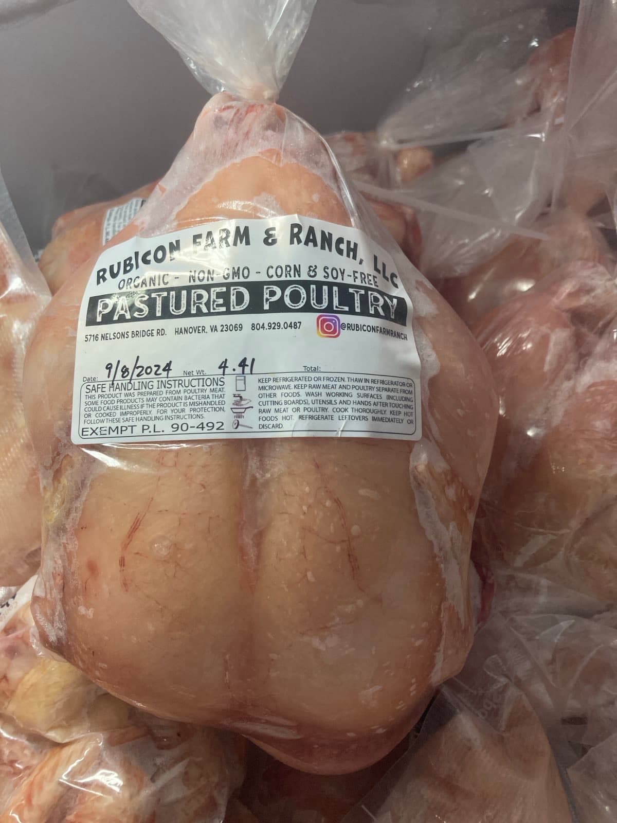 Whole Broiler Chicken